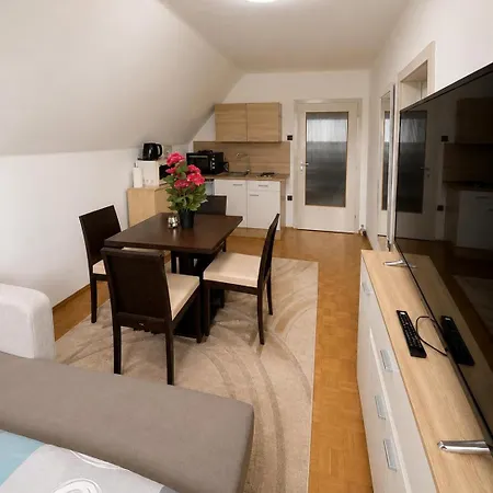 Apartament Zentrale Mit Parkplatz Inklusive Leoben (Styria)
